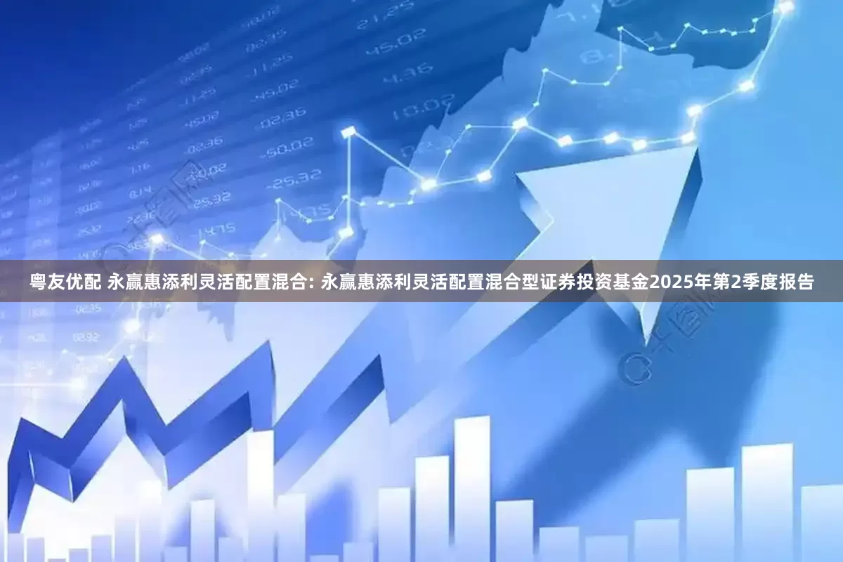 粤友优配 永赢惠添利灵活配置混合: 永赢惠添利灵活配置混合型证券投资基金2025年第2季度报告