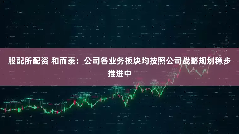 股配所配资 和而泰：公司各业务板块均按照公司战略规划稳步推进中